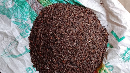 Cocoa nibs